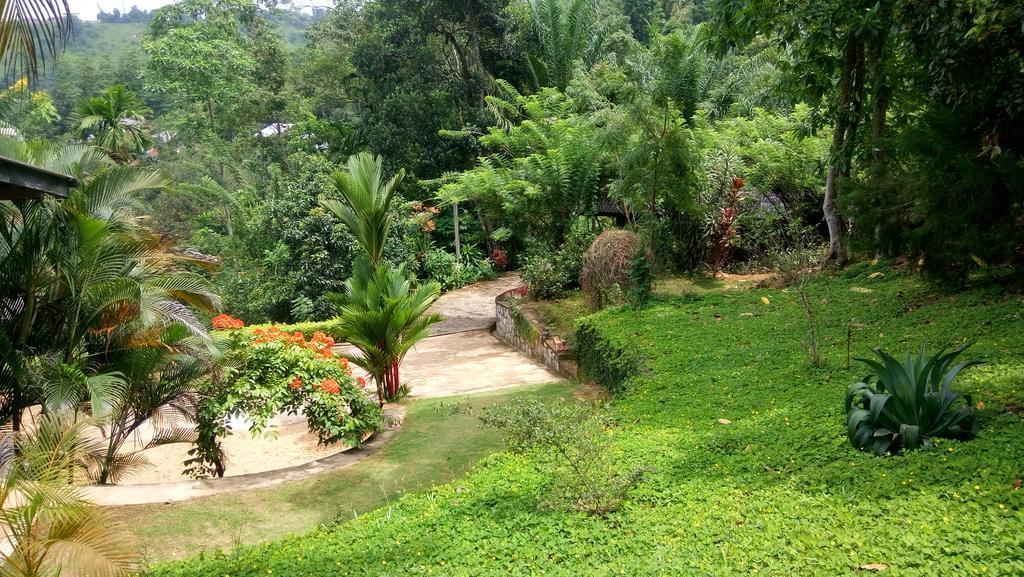 Tea Leaf Retreat Apartment Kandy Exterior photo