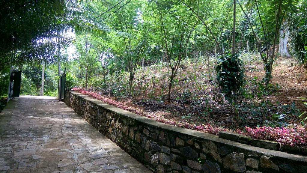 Tea Leaf Retreat Apartment Kandy Exterior photo